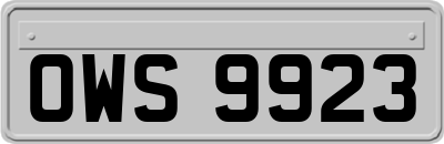 OWS9923