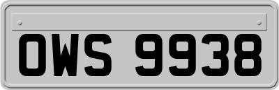 OWS9938