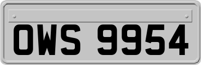 OWS9954