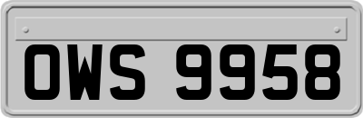 OWS9958