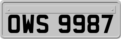 OWS9987