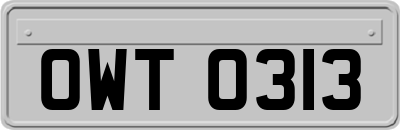 OWT0313