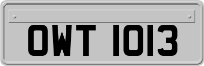 OWT1013