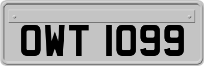 OWT1099