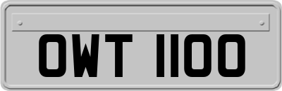 OWT1100