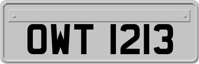 OWT1213