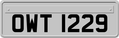 OWT1229