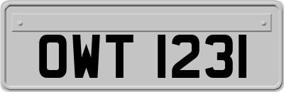 OWT1231