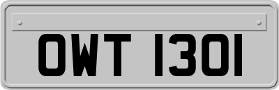 OWT1301