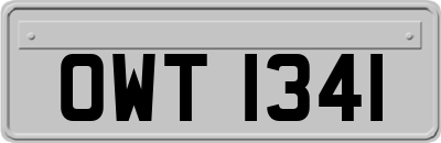 OWT1341