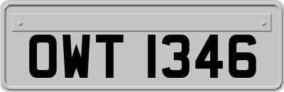 OWT1346