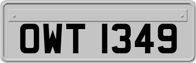 OWT1349