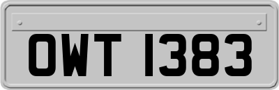 OWT1383