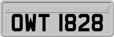 OWT1828