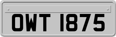 OWT1875