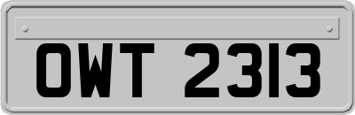 OWT2313