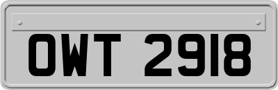 OWT2918