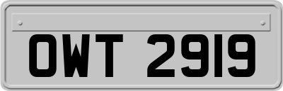 OWT2919