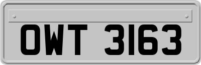 OWT3163