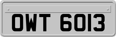 OWT6013