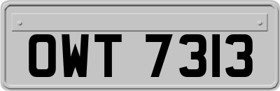 OWT7313