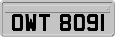 OWT8091