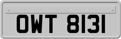 OWT8131
