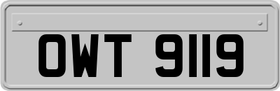 OWT9119