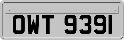 OWT9391