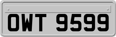 OWT9599