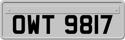 OWT9817