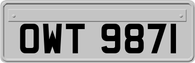 OWT9871