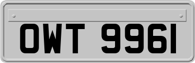 OWT9961
