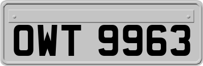 OWT9963