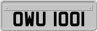 OWU1001