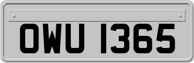 OWU1365