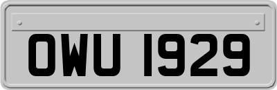 OWU1929