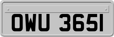 OWU3651