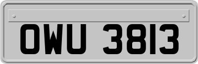 OWU3813