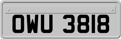 OWU3818