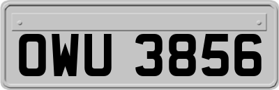 OWU3856