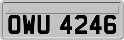 OWU4246