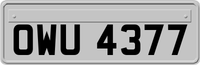 OWU4377