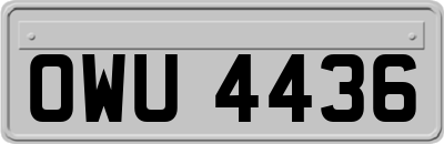 OWU4436
