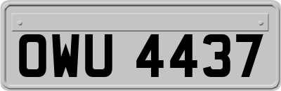 OWU4437