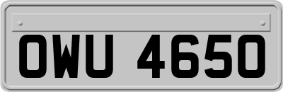 OWU4650