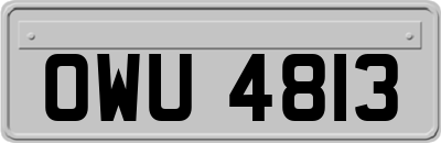 OWU4813