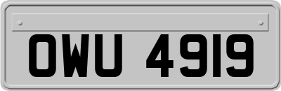 OWU4919