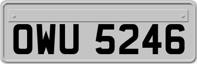 OWU5246