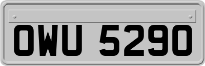 OWU5290